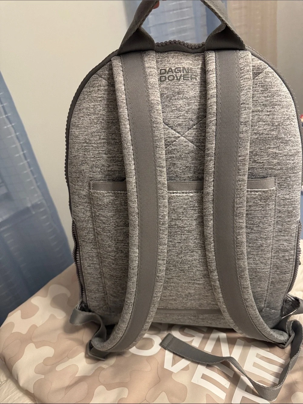 Dagne Dover Heather Light Gray Backpack